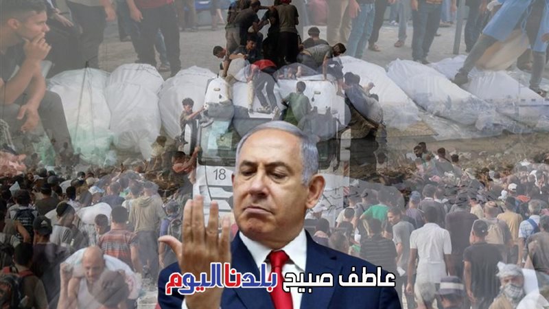 عدد شهداء غزة اليوم