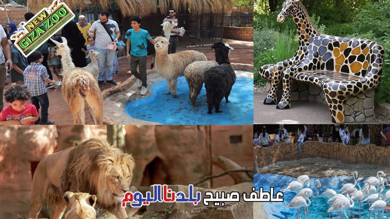 موعد افتتاح حديقة