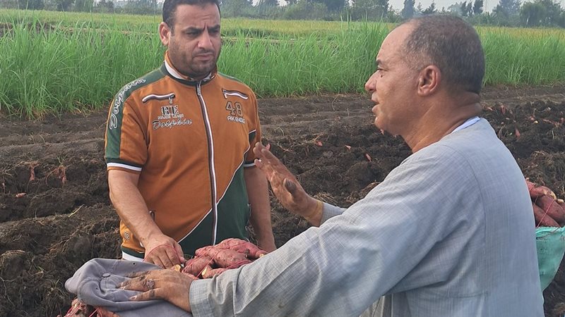 بلدنا اليوم تشارك