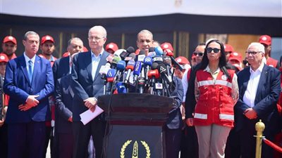 وزير الخارجية: مصر تعمل على وضع حد لعمليات القتل والتجويع الممنهجة داخل غزة