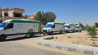 صحة شمال سيناء تنظم قافلة طبية لخدمة المواطنين بالبرث غدا