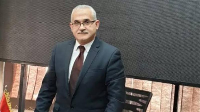 هشام عناني
