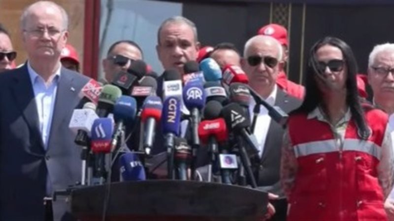 وزير الخارجية المصري