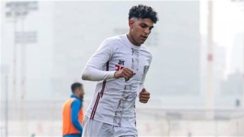 محمد السيد