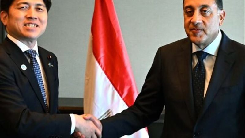 رئيس الوزراء مع وزير