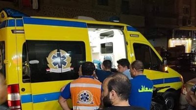 مصرع عاطل في مشاجرة بأوسيم بسبب 600 جنيه.. والنيابة تأمر بحبس المتهم والتحفظ على السلاح