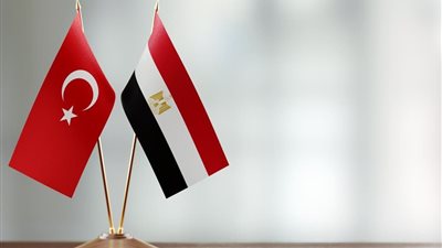 مصر وتركيا يهاجمان إسرائيل ويطالبان بتدخل دولي عاجل لإنقاذ غزة