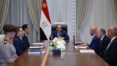الرئيس السيسي يطلع على مستجدات تشغيل وإدارة الموانئ على مستوى الجمهورية