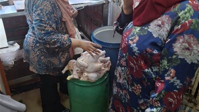 تحرير 44 محضر مخالفات.. وضبط وإعدام مواد غذائية مجهولة المصدر بالمنوفية 