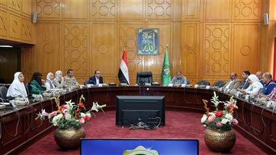 تجهيز 135 مركزا انتخابيا لانتخابات الشيوخ لاستقبال 999248 ناخبا بالإسماعيلية 