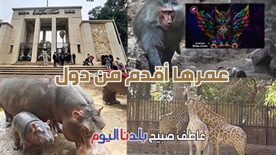 فيديو مذهل عن تطوير حديقة الحيوان بالجيزة.. ووزير الزراعة يكشف موعد الافتتاح الرسمي
