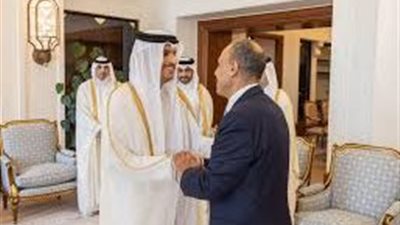 مصر وقطر تؤكدان رفضهما لتهجير الفلسطينيين والحلول العسكرية في غزة