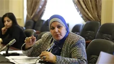 النائبة مايسة عطوة تكشف مخطط الإخوان لاستغلال فلسطين لبث الفوضى في مصر