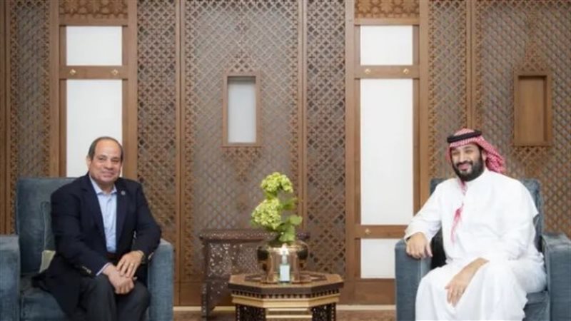 الرئيس السيسي ومحمد