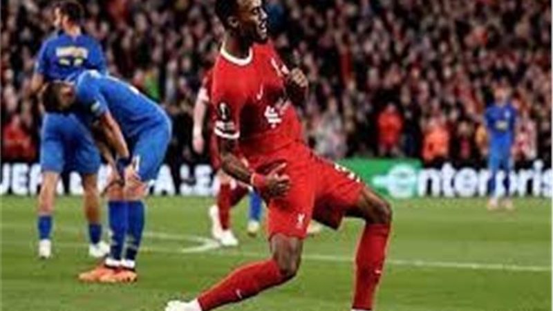 ليفربول ونيوكاسل