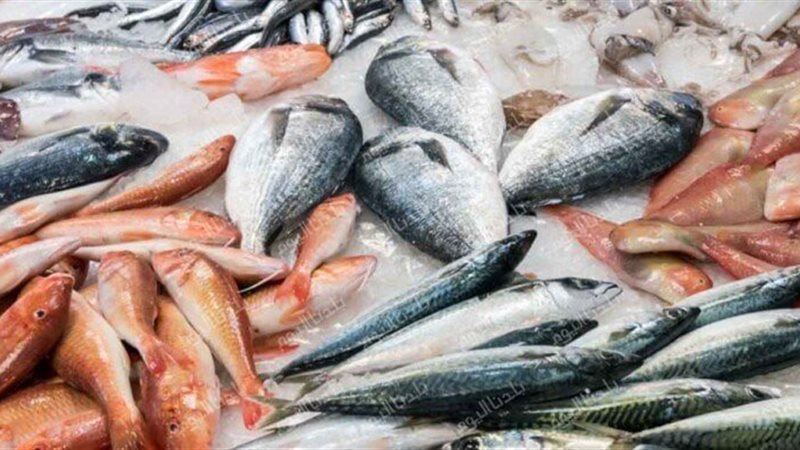 أسعار الأسماك اليوم