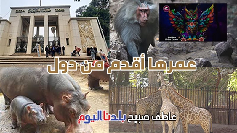 حديقة الحيوان بالجيزة