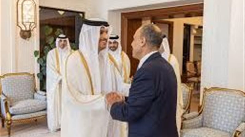 وزير الخارجية المصري