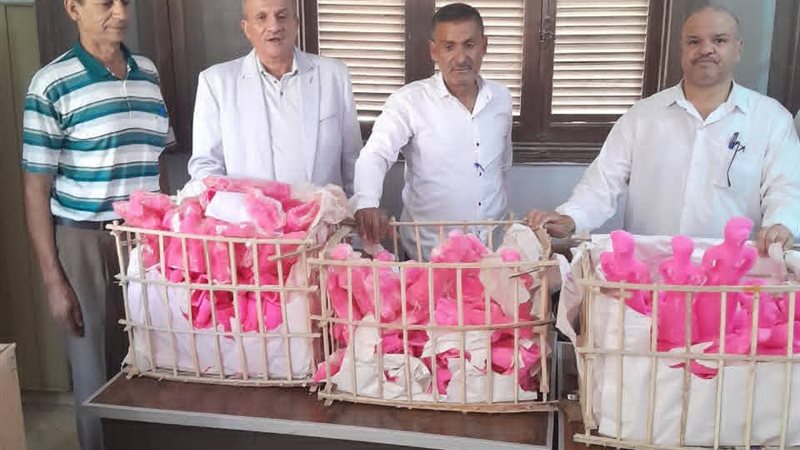صورة من المضبوطات