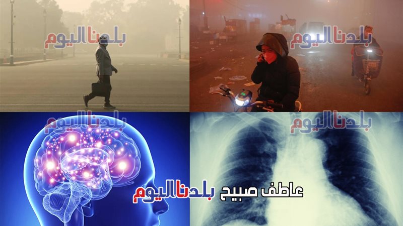 مخاطر استنشاق الجسيمات