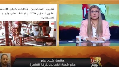 نفسي نبيع كيلو اللحمة بـ280 جنيها.. شعبة القصابين توضح الأسعار الحقيقية للحوم (فيديو)