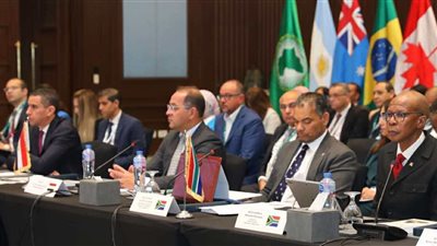 وزير المالية يستعرض الأولويات المصرية والإفريقية لتحقيق الأمن الغذائي