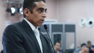 أمين تنظيم حزب الريادة:  قمة العشرين تعكس مكانة مصر الدولية