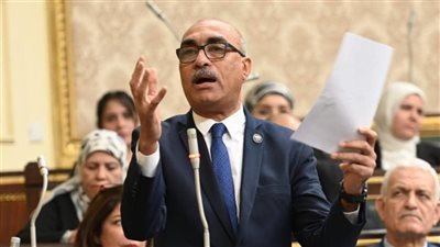 النائب إيهاب منصور: جميع أجهزة الدولة مستيقظة وعلى أتم الاستعداد (خاص)