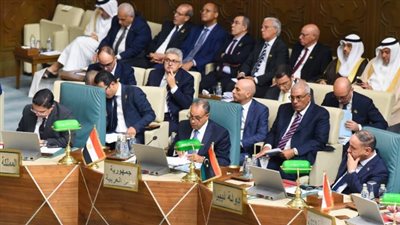 مصر تؤكد استمرار تمسكها بحل الدولتين.. تفاصيل استضافة القاهرة لوزراء الخارجية العرب