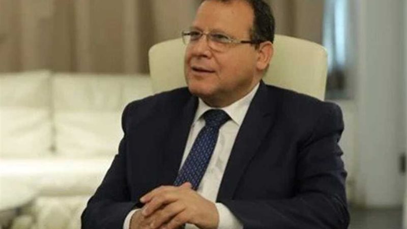 مجدي البدوي، نائب