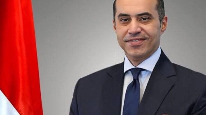 محمود فوزي