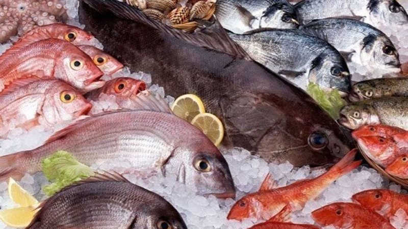 أسعار الأسماك والجمبري