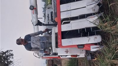 رحلة التطوير في حصاد الأرز.. من 