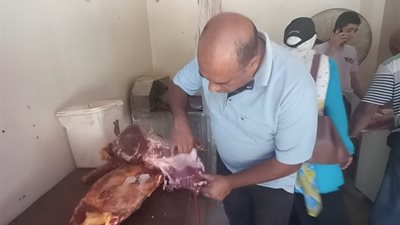 حملات بيطرية مكثفة بالقليوبية لضبط اللحوم والدواجن غير الصالحة وحماية صحة المواطنين