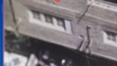 الداخلية تكشف ملابسات فيديو ترويج المخدرات بالقليوبية.. تفاصيل