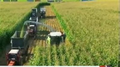 بـ4500 جنيه للطن.. تفاصيل توزيع الأسمدة المدعمة على الفلاحين