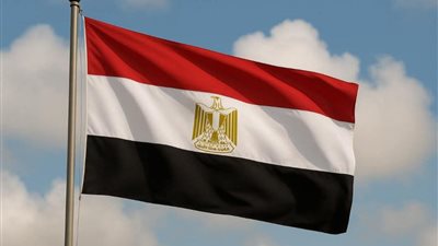 الأمين العام المساعد لمستقبل وطن: مصر تتحرك كقوة مدافعة عن الأمن العربي