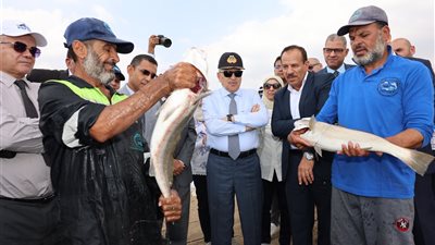 الفريق أسامة ربيع يتابع مستجدات نشاط الاستزراع السمكي ومعدلات الإنتاج 