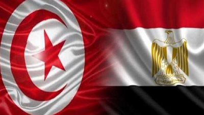مصر وتونس تؤكدان توافق موقفيهما بشأن القضية الفلسطينية