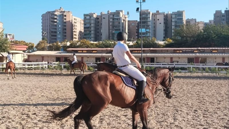 بطولة الجمهورية للفروسية