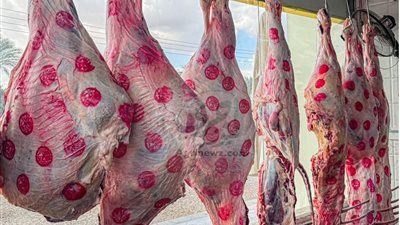 الكيلو بكام؟ أسعار اللحوم البلدي اليوم الأحد 21/9/2025