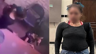 ضبط سيدة غير متزنة نفسيًا بعد شائعة خطف طفلة بالإسكندرية