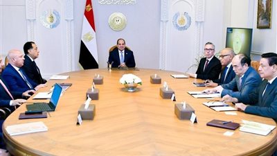 الرئيس السيسي يبحث بحث فرص التعاون مع شركتي سكاتك النرويجية وصنجرو الصينية