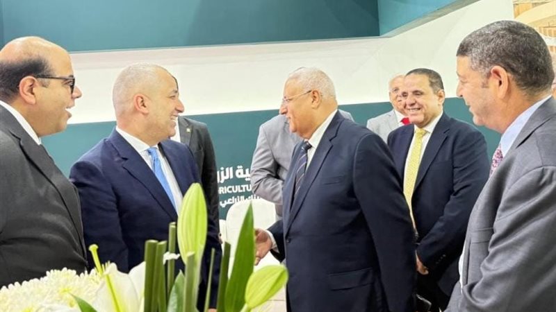 مجلس إدارة الشركة