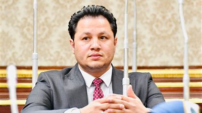 برلماني: جهود مصرية غير مسبوقة وراء قرار فرنسا الاعتراف بفلسطين (خاص)