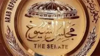 موسى فراج: أولوياتي في مجلس الشيوخ «السياحة والاستثمار والصحة والتعليم»