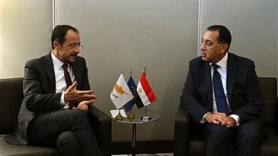 وزير الخارجية يلتقي مع نظيره القبرصي لمناقشة أعمال الجمعية العامة في نيويورك 