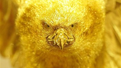 أسعار الذهب اليوم الأربعاء الموافق 24-9-2025.. الجرام بكام النهاردة؟ 