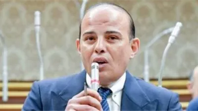 برلماني: نجاح الجهود المصرية يدفع أوروبا للاعتراف بالدولة الفلسطينية