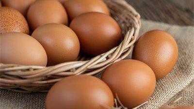 سعر البيض اليوم الجمعة 26-9-2025.. الأحمر والأبيض والبلدي بكام ؟